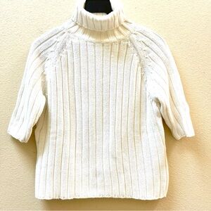 Valerie Stevens Turtle Neck Sweater